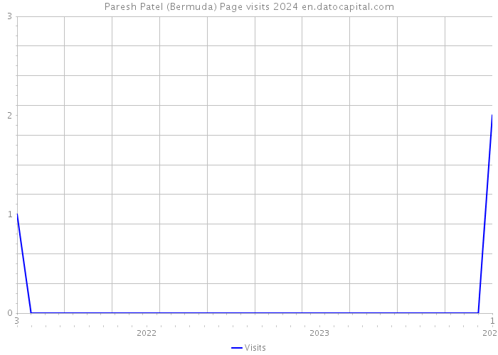 Paresh Patel (Bermuda) Page visits 2024 