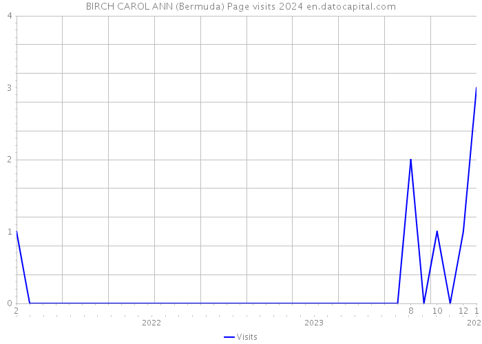 BIRCH CAROL ANN (Bermuda) Page visits 2024 