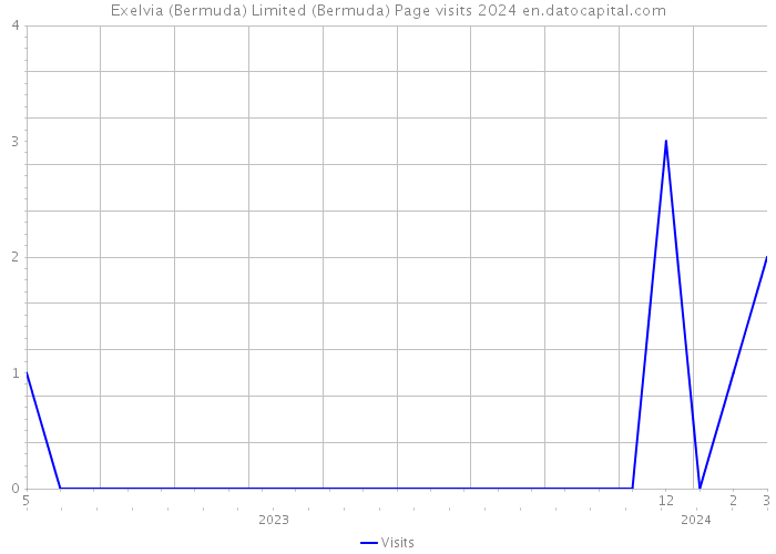 Exelvia (Bermuda) Limited (Bermuda) Page visits 2024 