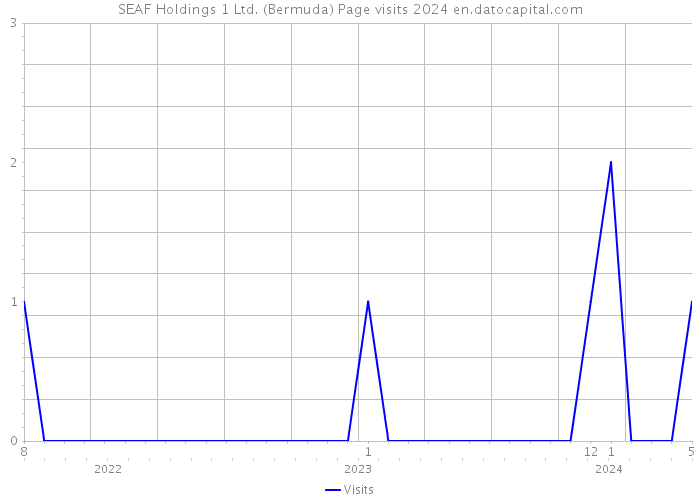 SEAF Holdings 1 Ltd. (Bermuda) Page visits 2024 