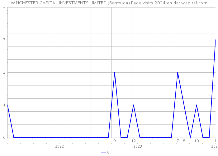 WINCHESTER CAPITAL INVESTMENTS LIMITED (Bermuda) Page visits 2024 