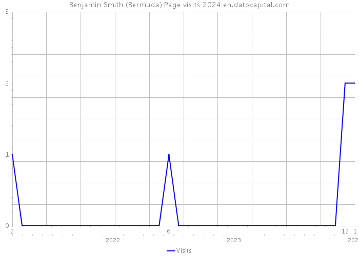 Benjamin Smith (Bermuda) Page visits 2024 