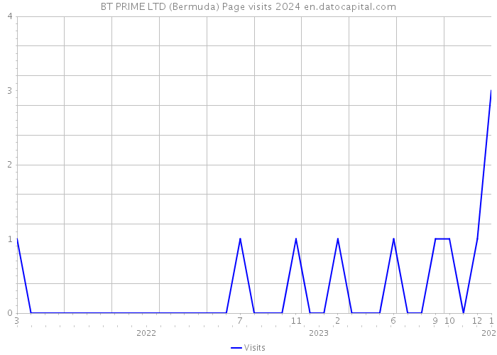 BT PRIME LTD (Bermuda) Page visits 2024 