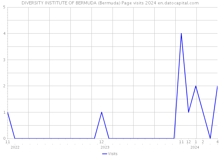 DIVERSITY INSTITUTE OF BERMUDA (Bermuda) Page visits 2024 