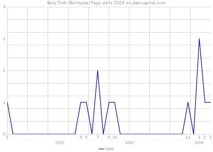 Bela Toth (Bermuda) Page visits 2024 