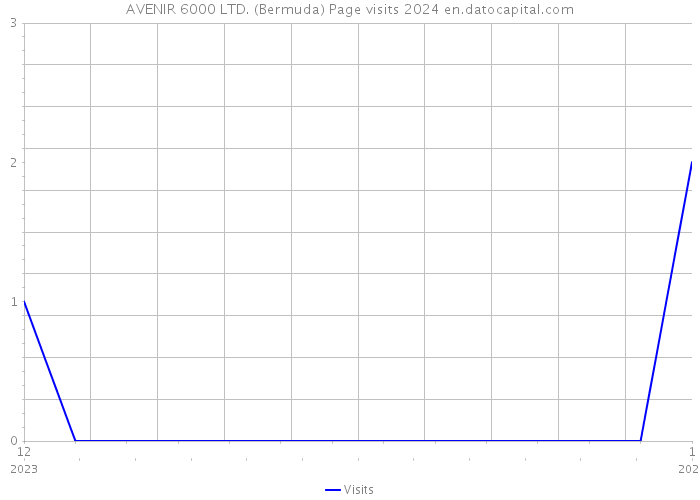 AVENIR 6000 LTD. (Bermuda) Page visits 2024 