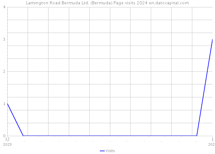 Lamington Road Bermuda Ltd. (Bermuda) Page visits 2024 