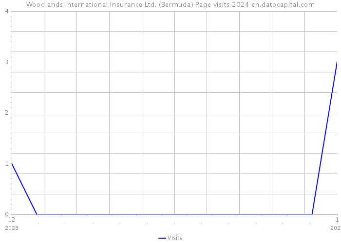 Woodlands International Insurance Ltd. (Bermuda) Page visits 2024 