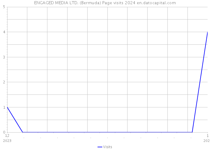 ENGAGED MEDIA LTD. (Bermuda) Page visits 2024 