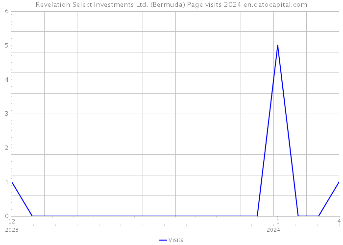 Revelation Select Investments Ltd. (Bermuda) Page visits 2024 
