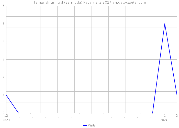Tamarisk Limited (Bermuda) Page visits 2024 