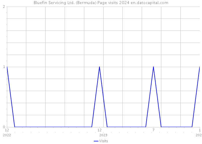 Bluefin Servicing Ltd. (Bermuda) Page visits 2024 
