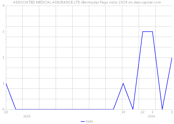 ASSOCIATED MEDICAL ASSURANCE LTD (Bermuda) Page visits 2024 