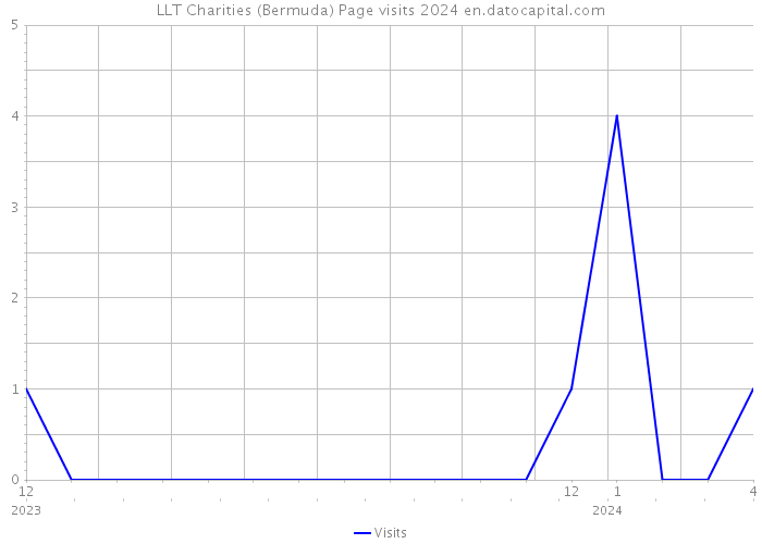 LLT Charities (Bermuda) Page visits 2024 