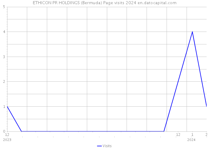 ETHICON PR HOLDINGS (Bermuda) Page visits 2024 