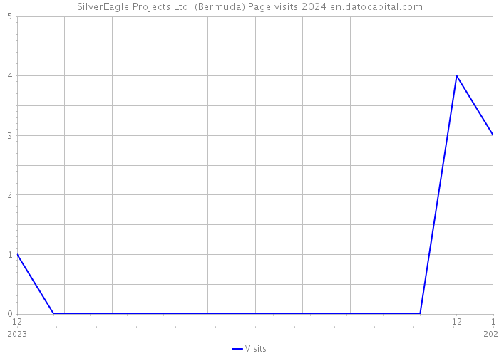 SilverEagle Projects Ltd. (Bermuda) Page visits 2024 