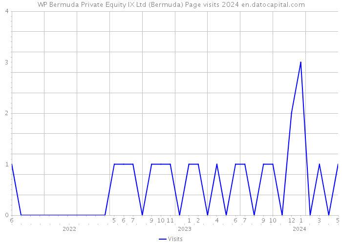 WP Bermuda Private Equity IX Ltd (Bermuda) Page visits 2024 