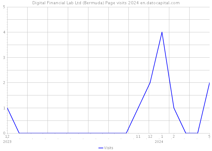 Digital Financial Lab Ltd (Bermuda) Page visits 2024 