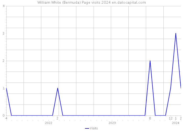 William White (Bermuda) Page visits 2024 