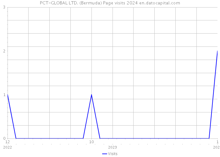 PCT-GLOBAL LTD. (Bermuda) Page visits 2024 