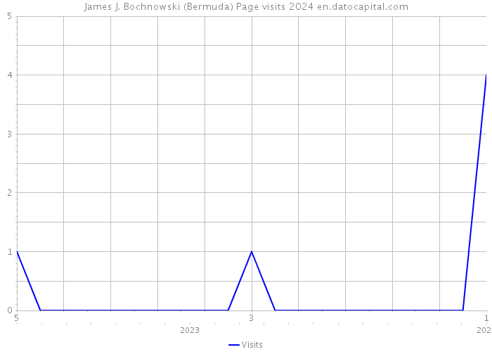 James J. Bochnowski (Bermuda) Page visits 2024 