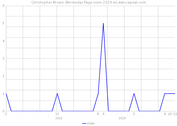 Christopher Brown (Bermuda) Page visits 2024 