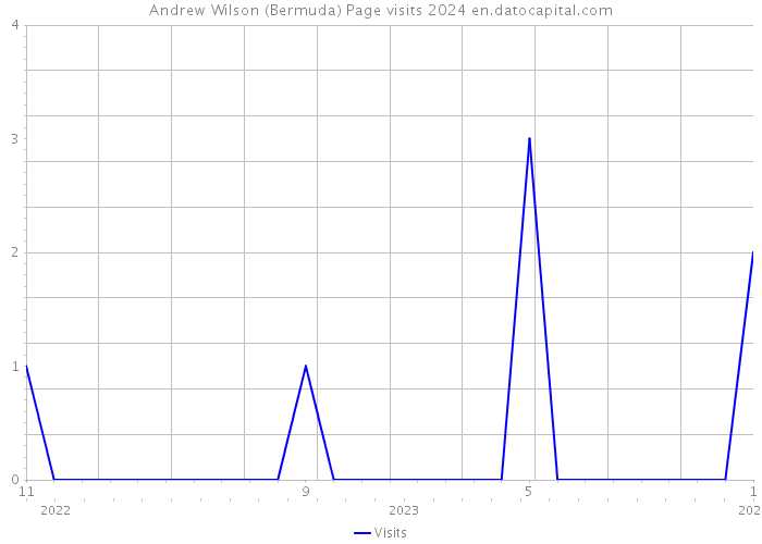 Andrew Wilson (Bermuda) Page visits 2024 