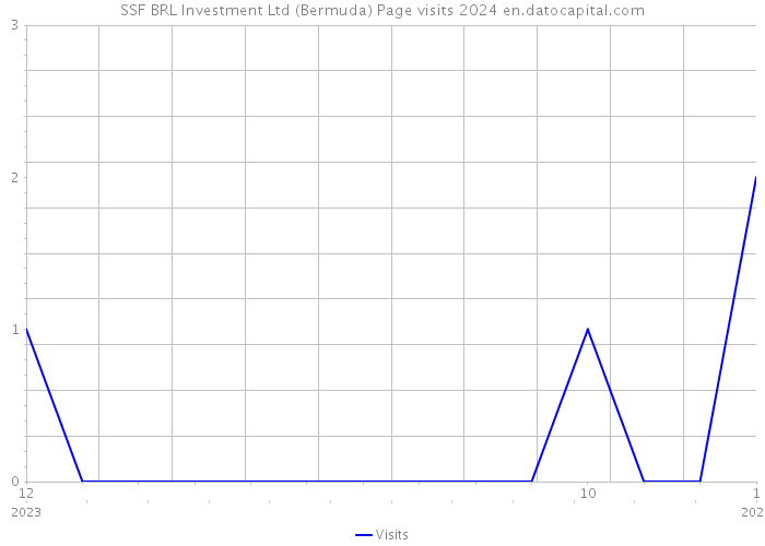 SSF BRL Investment Ltd (Bermuda) Page visits 2024 