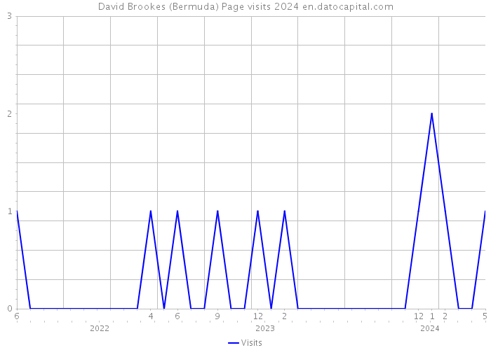 David Brookes (Bermuda) Page visits 2024 