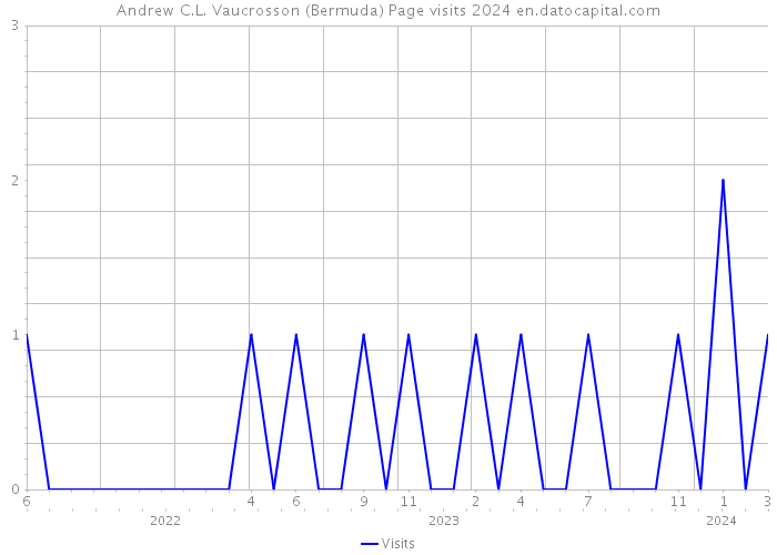 Andrew C.L. Vaucrosson (Bermuda) Page visits 2024 