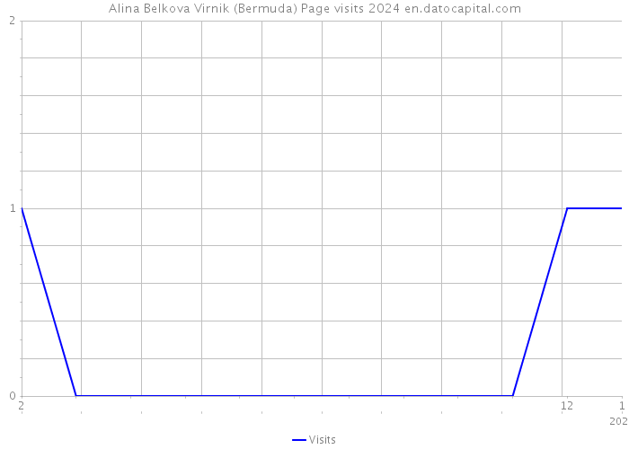 Alina Belkova Virnik (Bermuda) Page visits 2024 