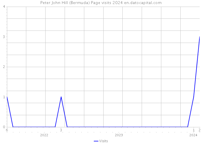 Peter John Hill (Bermuda) Page visits 2024 