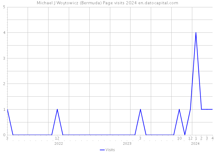 Michael J Woytowicz (Bermuda) Page visits 2024 