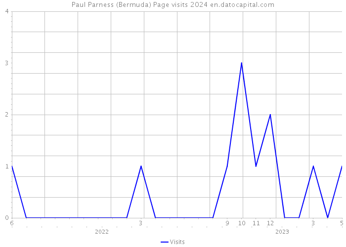 Paul Parness (Bermuda) Page visits 2024 