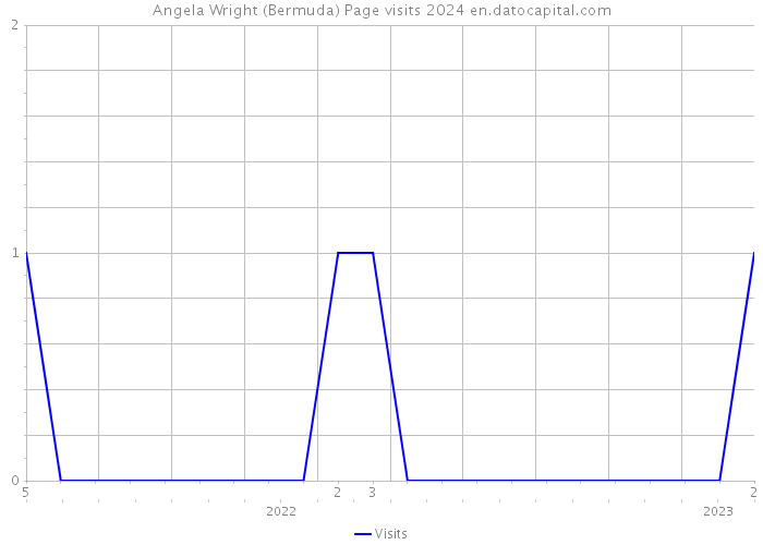Angela Wright (Bermuda) Page visits 2024 