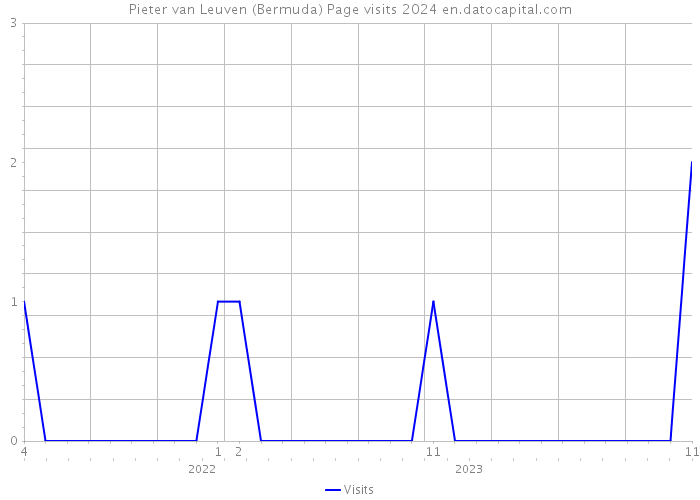 Pieter van Leuven (Bermuda) Page visits 2024 