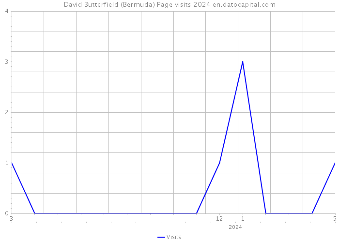 David Butterfield (Bermuda) Page visits 2024 