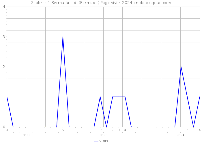 Seabras 1 Bermuda Ltd. (Bermuda) Page visits 2024 