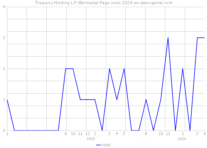 Treasury Holding L.P (Bermuda) Page visits 2024 
