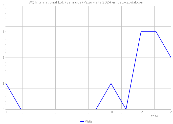 WQ International Ltd. (Bermuda) Page visits 2024 