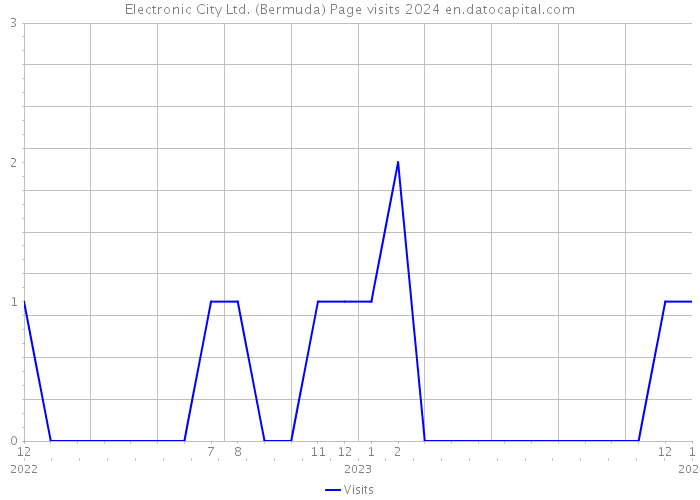 Electronic City Ltd. (Bermuda) Page visits 2024 