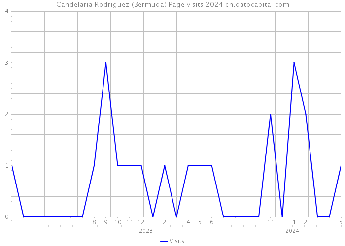 Candelaria Rodriguez (Bermuda) Page visits 2024 