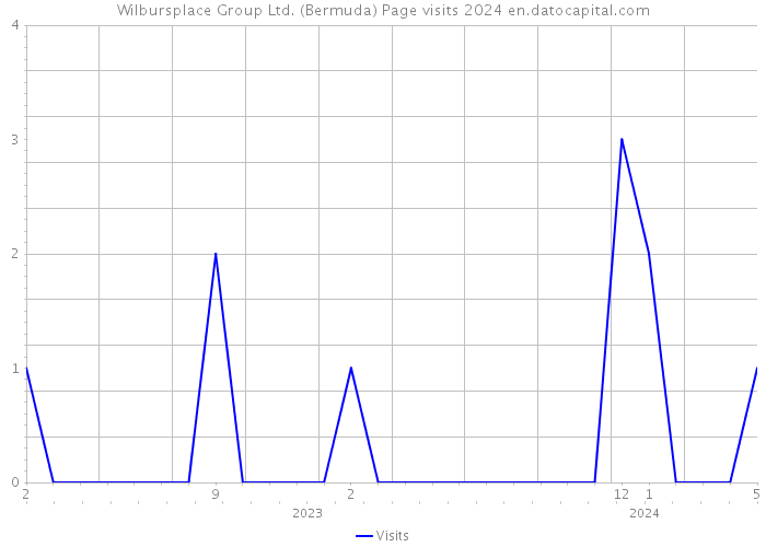 Wilbursplace Group Ltd. (Bermuda) Page visits 2024 