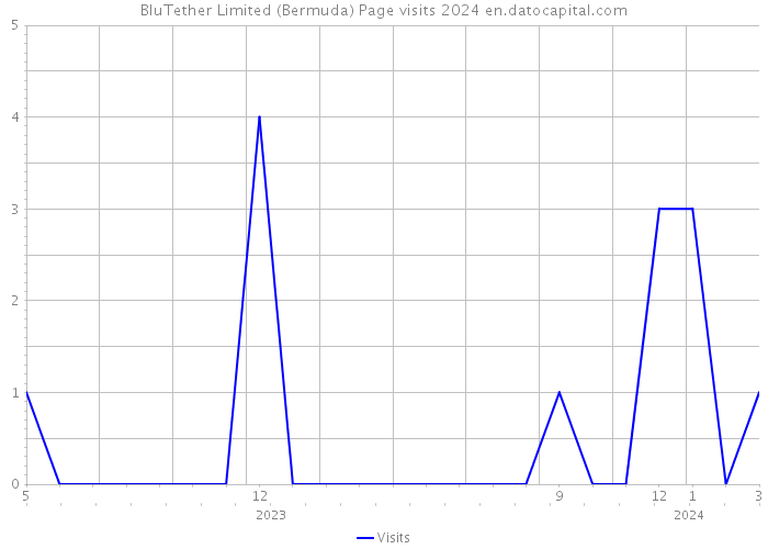 BluTether Limited (Bermuda) Page visits 2024 