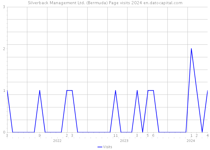 Silverback Management Ltd. (Bermuda) Page visits 2024 