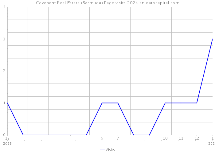 Covenant Real Estate (Bermuda) Page visits 2024 