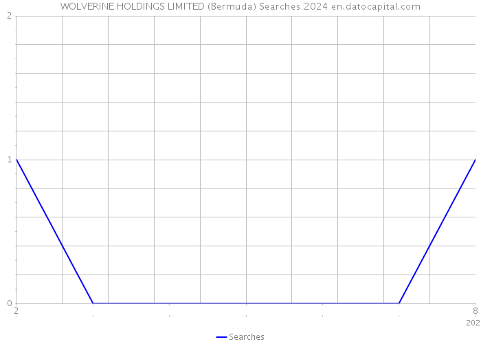 WOLVERINE HOLDINGS LIMITED (Bermuda) Searches 2024 