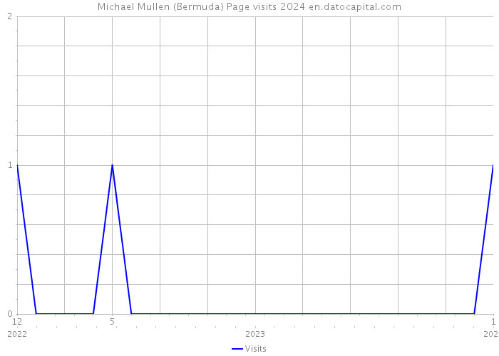 Michael Mullen (Bermuda) Page visits 2024 