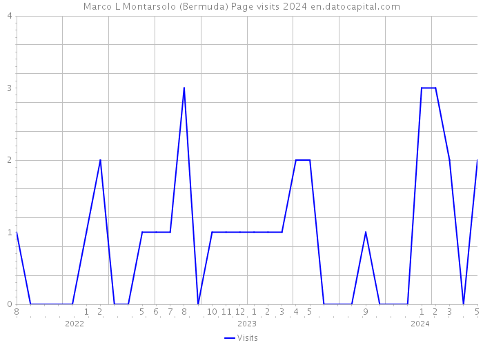 Marco L Montarsolo (Bermuda) Page visits 2024 