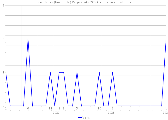 Paul Ross (Bermuda) Page visits 2024 